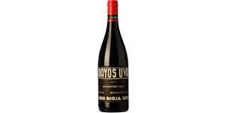 Oliver Riviere Rayos Uva Vino Tinto